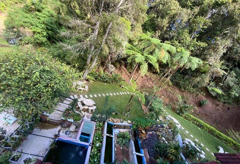 غرفة ديلوكس ثلاثية, Arundina Cameron Highlands