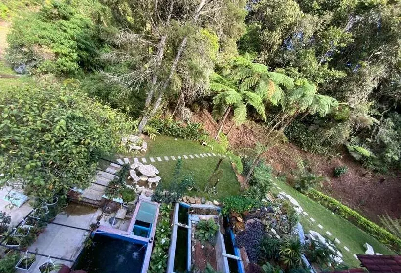 اتاق لوکس سه تخته, Arundina Cameron Highlands
