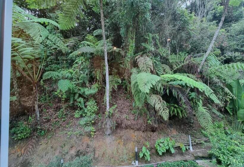 غرفة ديلوكس سرير كينج, Arundina Cameron Highlands