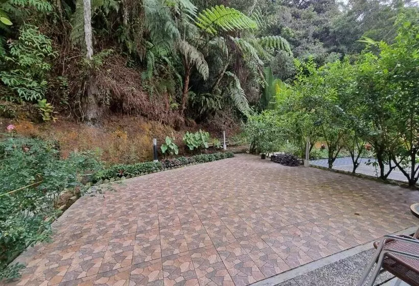 اتاق لوکس با تخت بزرگ, Arundina Cameron Highlands