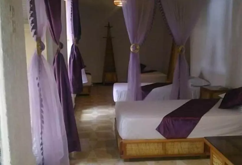 سوییت, Riad Azrou