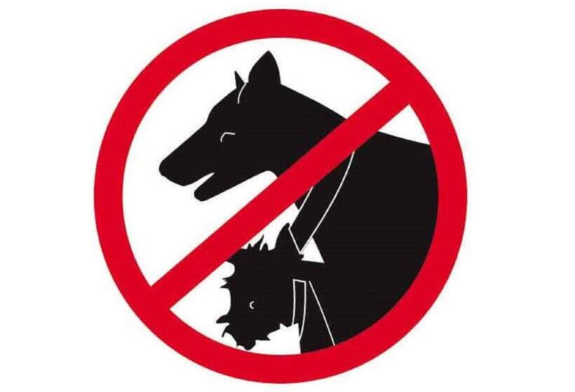 带1个卧室的公寓, Villa Lampedusa