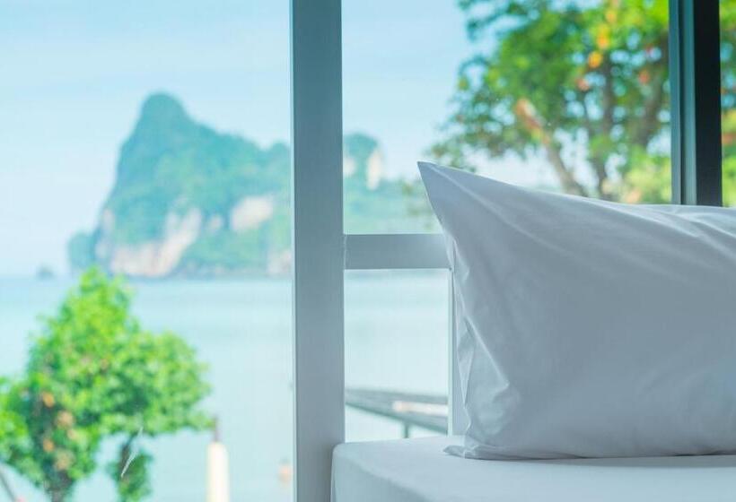 공동 객실, Ibiza Phi Phi