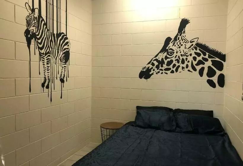اتاق اکونومی, Frogshollow Backpackers