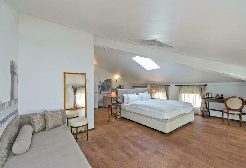 スタンダードルーム, Boutique & Business Hotel La Tureta