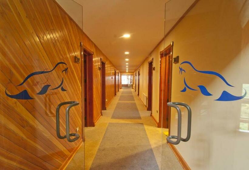 스탠다드 룸 킹사이즈 침대, Loberias Del Sur