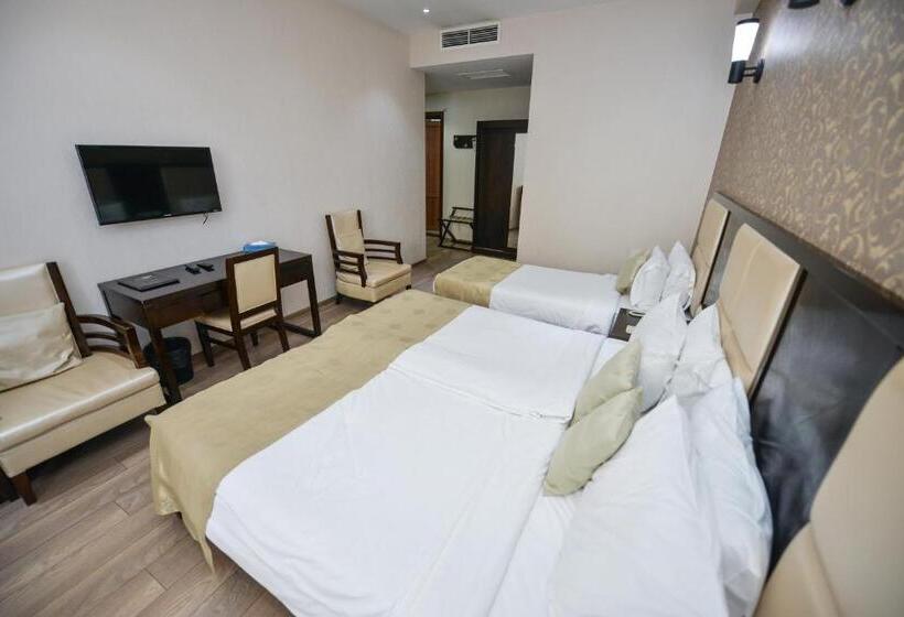 اتاق خانوادگی, Tbilisi Inn