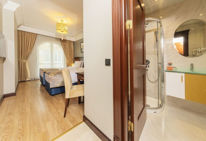 スタンダードルーム, The Magnaura Palace