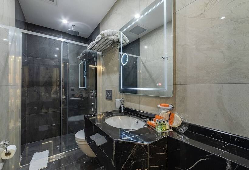 オーシャンビュースタンダードルームテラス付き, The Magnaura Palace