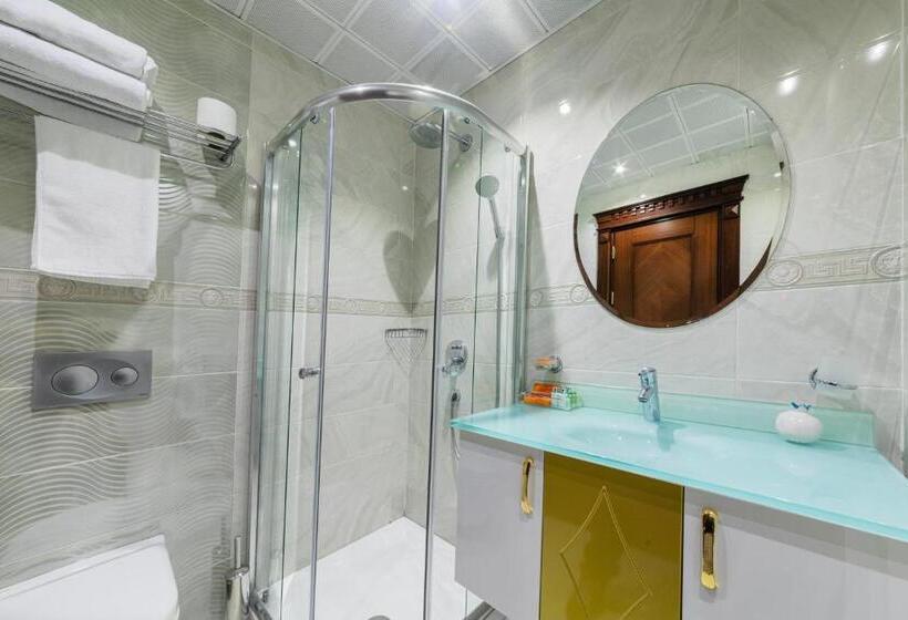 スタンダードルーム, The Magnaura Palace