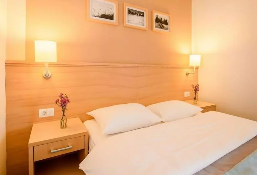 اتاق استاندارد, Wellness Hotel Montis