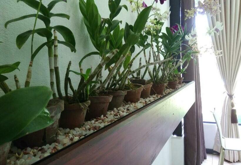 חדר דלוקס עם מרפסת, West Dene