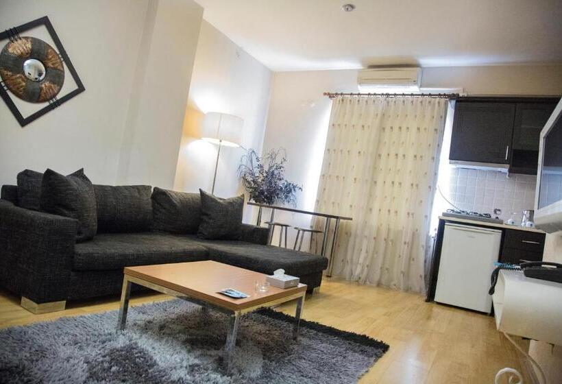 اتاق اکونومی, Airport Residence