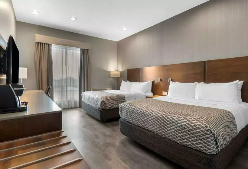 クイーンサイズベッドのスタンダードルーム, Best Western Plus East Side