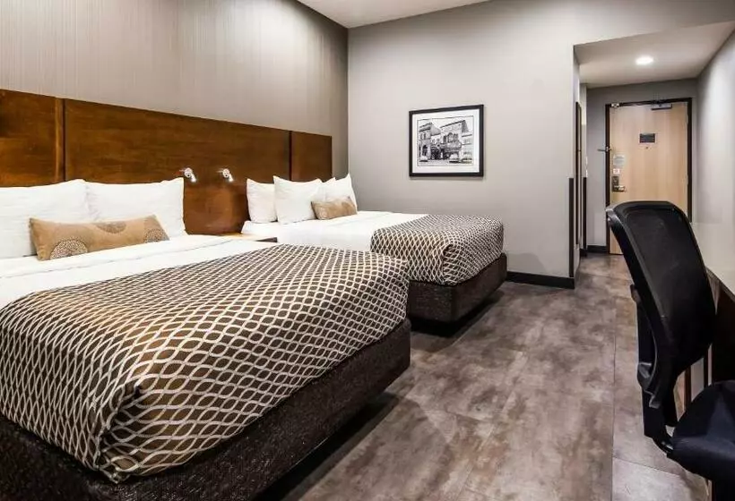 ２ダブルベッドのスタンダードルーム, Best Western Plus East Side