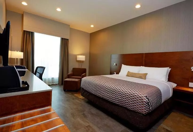 キングサイズベッドのスタンダードルーム, Best Western Plus East Side