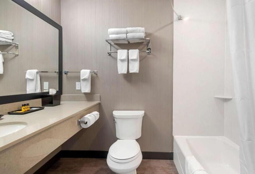 Номер Стандарт Кровать Кинг Адаптированный для Инвалидов, Best Western Plus East Side