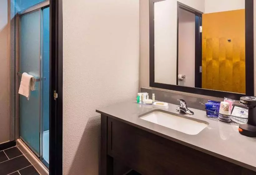 キングサイズベッドのスタンダードルーム, Best Western Plus Regency Park