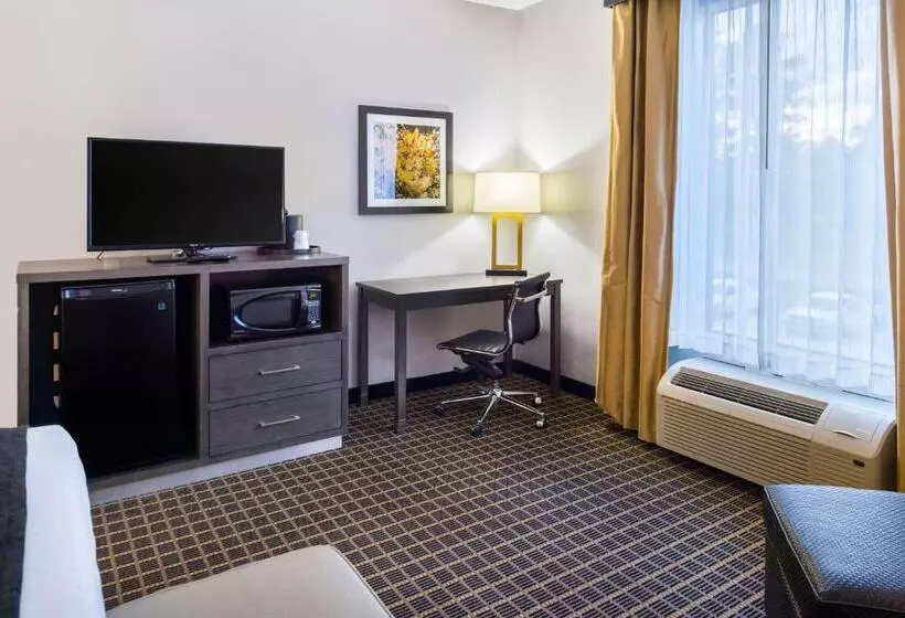 キングサイズベッドのスイートルーム, Best Western Plus Regency Park