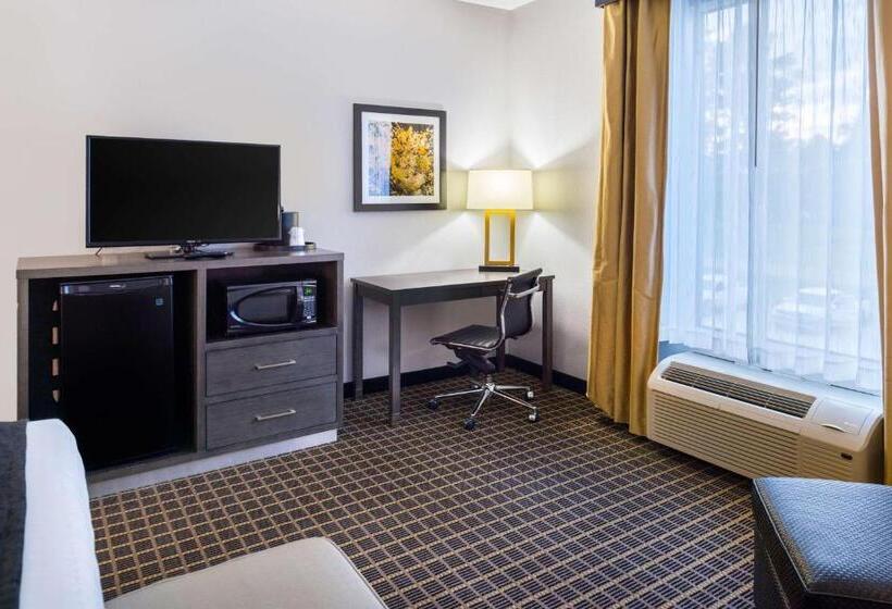 标准间, Best Western Plus Regency Park