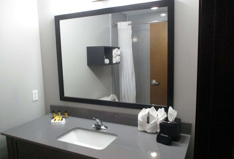 适合残疾人士使用的套间, Best Western Plus Regency Park