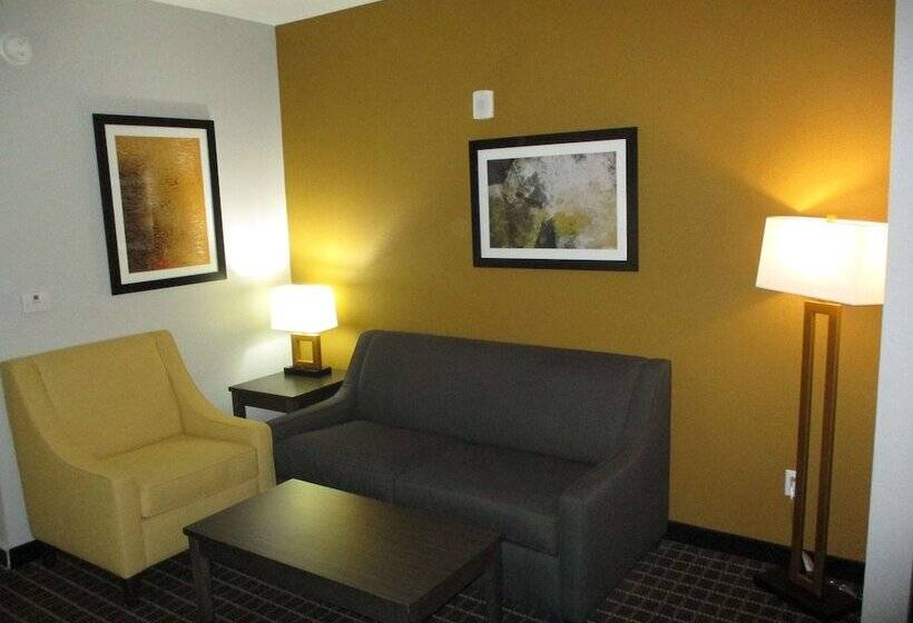 适合残疾人士使用的套间, Best Western Plus Regency Park