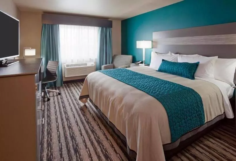 キングサイズベッドのデラックスルーム, Grandstay Hotel & Suites Valley City
