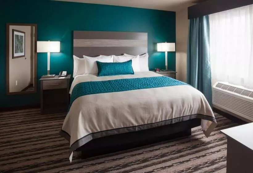 身障者適用キングサイズベッドルーム, Grandstay Hotel & Suites Valley City