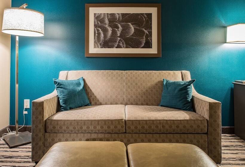 جناح ديلوكس سرير كينج, Grandstay Hotel & Suites Valley City