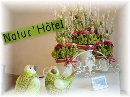 컴포트 룸, Natur'hôtel