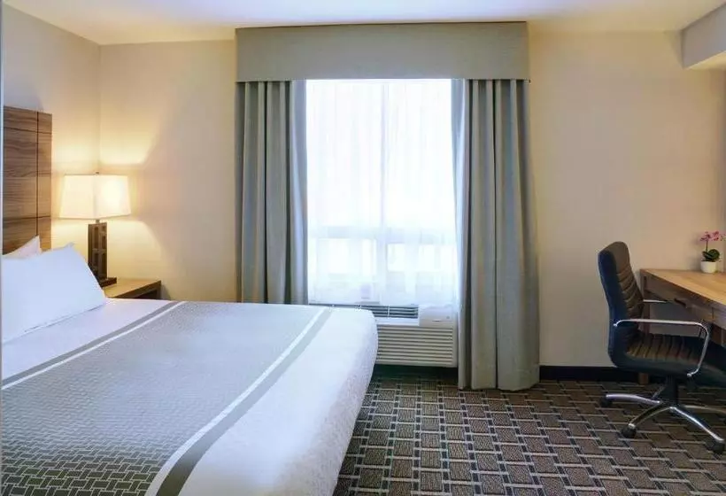 キングサイドベッドのスタンダードワンルーム, Pomeroy Inn And Suites Vermilion