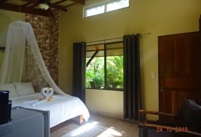 غرفة قياسية, Casa Caribbean Coconut