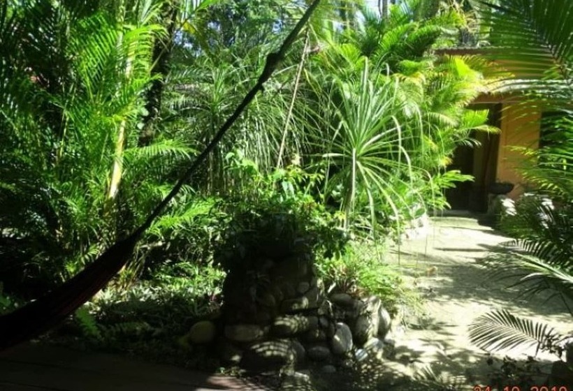 غرفة قياسية, Casa Caribbean Coconut