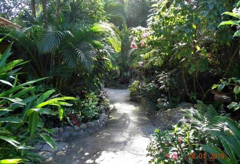 غرفة سوبيريور, Casa Caribbean Coconut