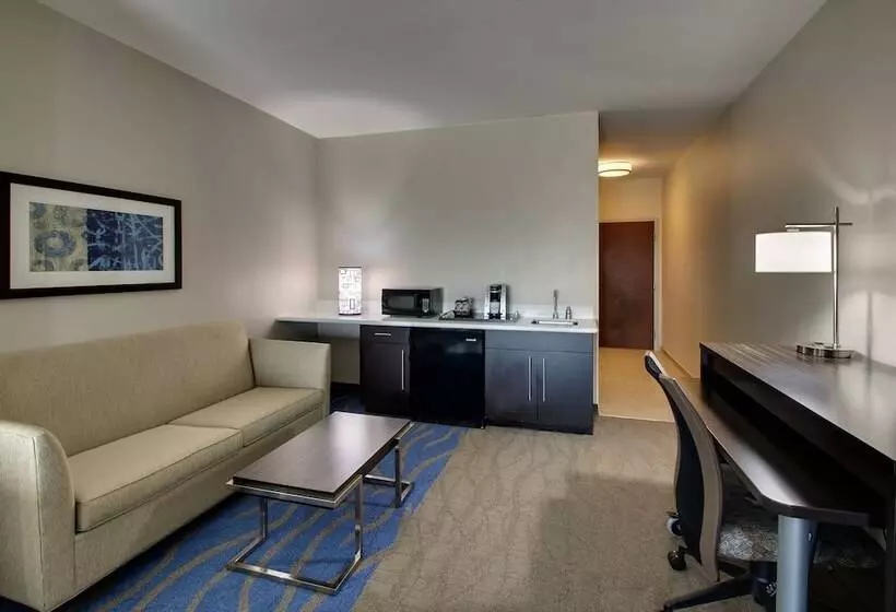 Sviitti Liikuntarajoitteisille, Holiday Inn Express & Suites Lancaster East Strasburg, An Ihg