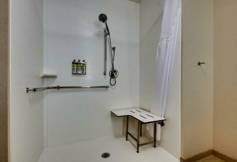 غرفة ديلوكس لذوى الاحتياجات الخاصة, Holiday Inn Express & Suites Lancaster East   Strasburg, An Ihg