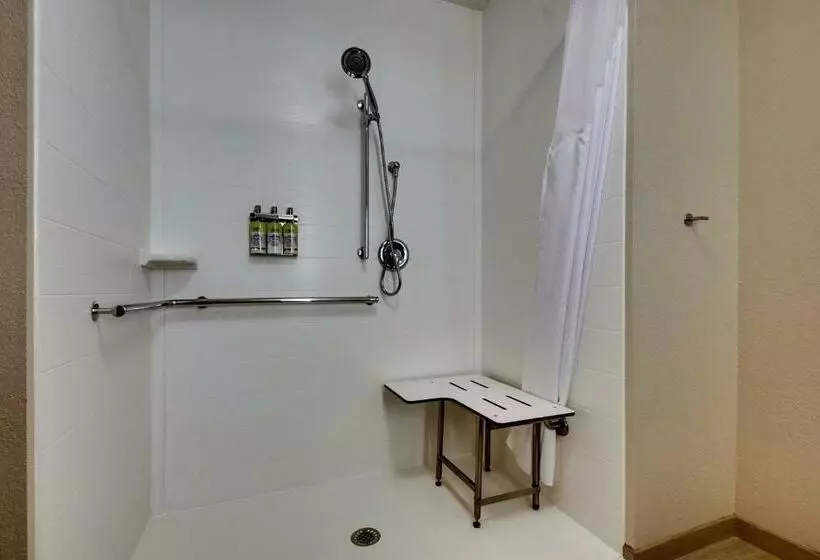 Deluxe-huone Soveltuu Liikuntarajoitteisille, Holiday Inn Express & Suites Lancaster East Strasburg, An Ihg