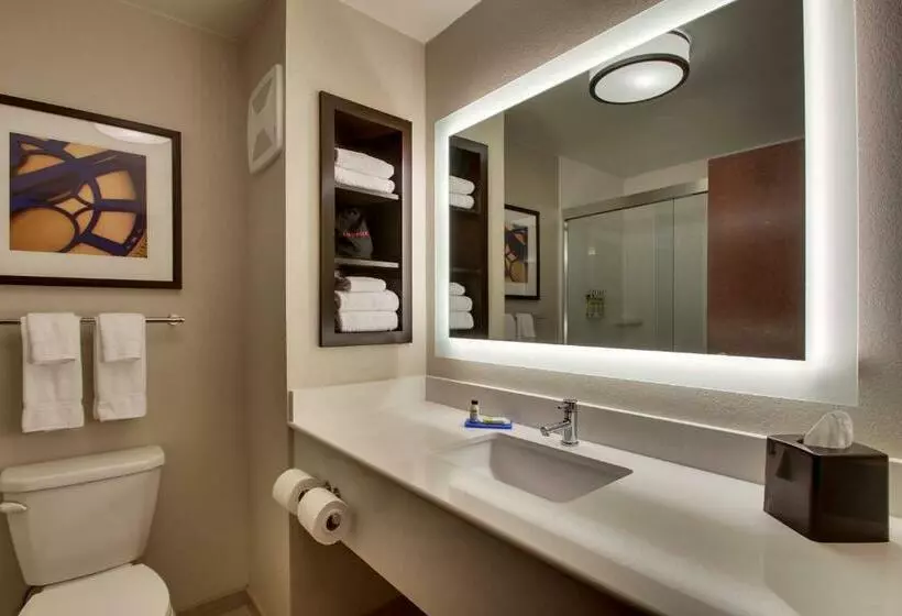 Sviitti King-vuode, Holiday Inn Express & Suites Lancaster East Strasburg, An Ihg
