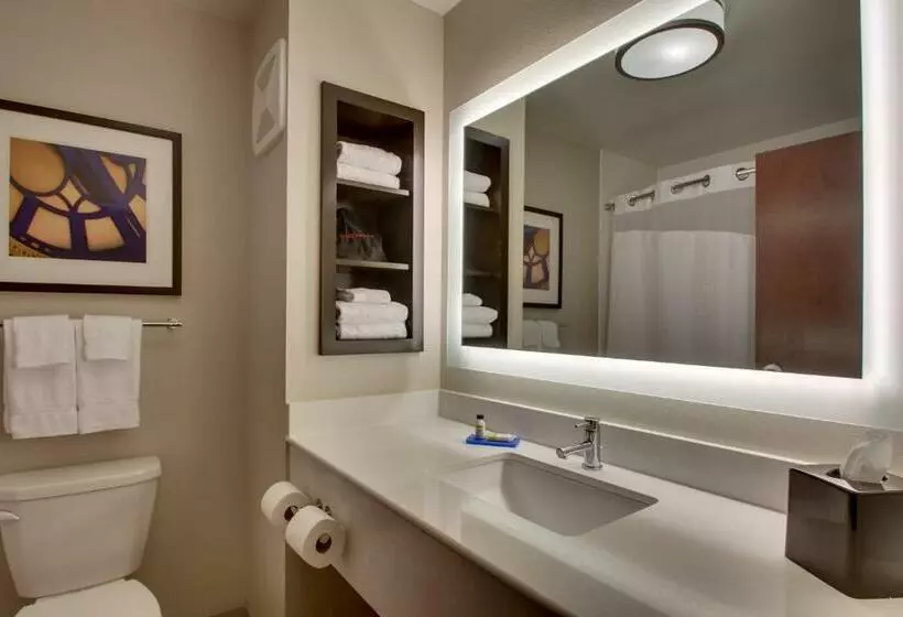 Standard-huone, Holiday Inn Express & Suites Lancaster East Strasburg, An Ihg