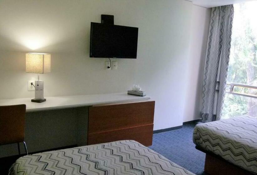 Номер Стандарт, Aristos Express Cdmx