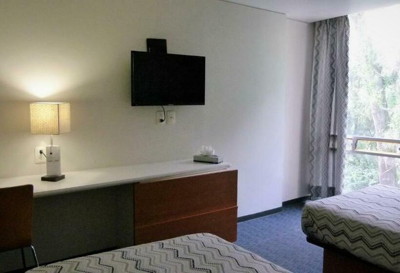 スタンダードルーム, Aristos Express Cdmx