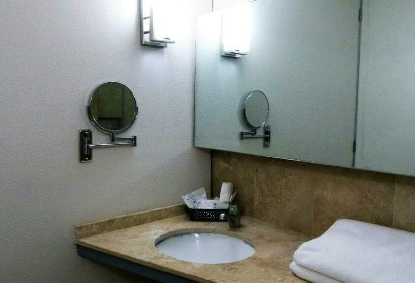 スタンダードルーム, Aristos Express Cdmx