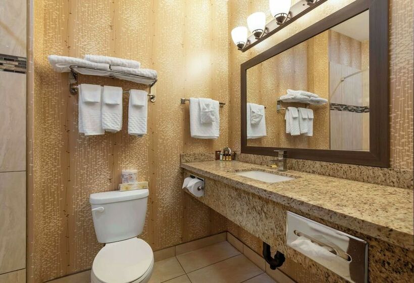 غرفه قياسيه سريرين مزدوجين, Best Western Plus Moosomin