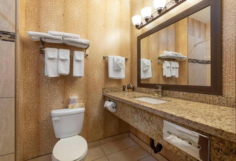 スタンダードルーム, Best Western Plus Moosomin