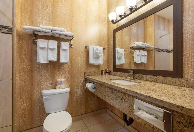 2ダブルベッドのスタンダードルーム, Best Western Plus Moosomin