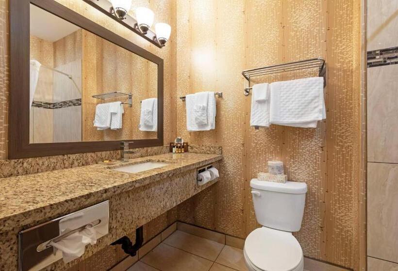 غرفة قياسية سرير كينج, Best Western Plus Moosomin