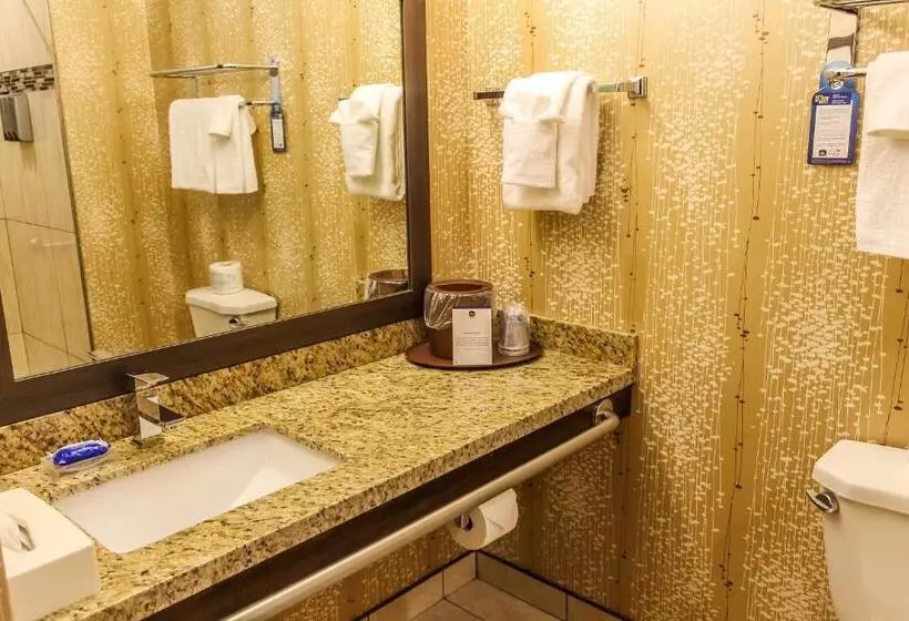 身障者適用キングサイズベッドルーム, Best Western Plus Moosomin