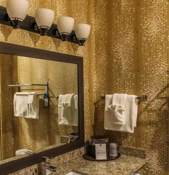 身障者適用キングサイズベッドルーム, Best Western Plus Moosomin