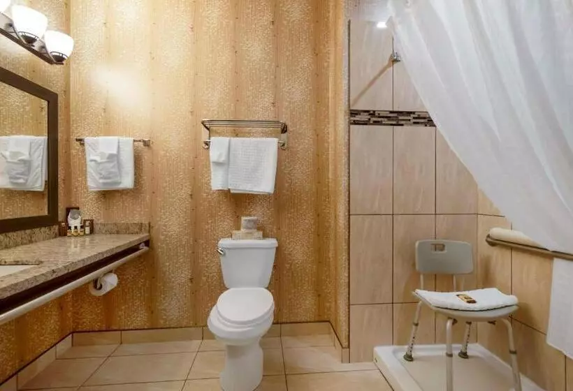 身障者適用キングサイズベッドルーム, Best Western Plus Moosomin