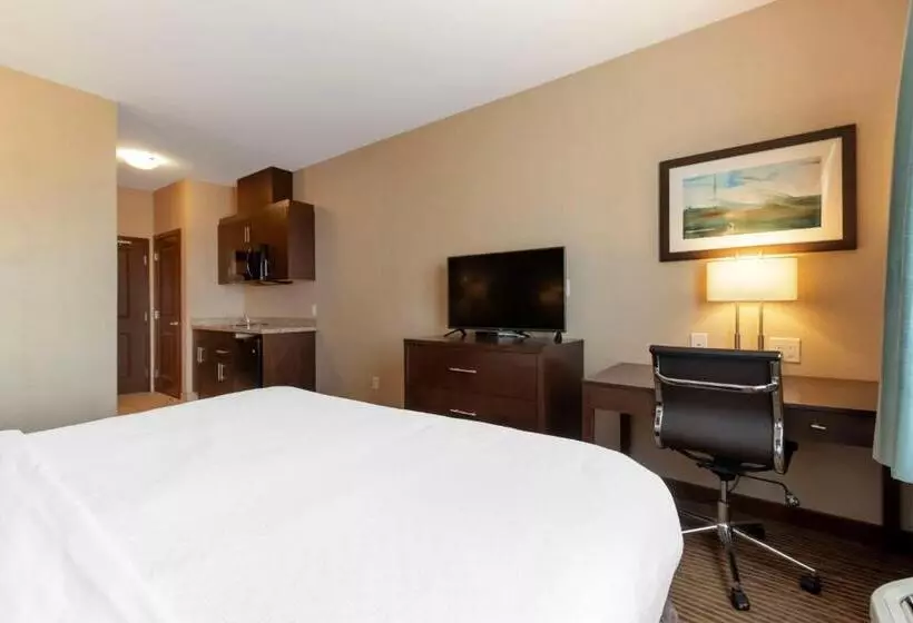 身障者適用キングサイズベッドルーム, Best Western Plus Moosomin